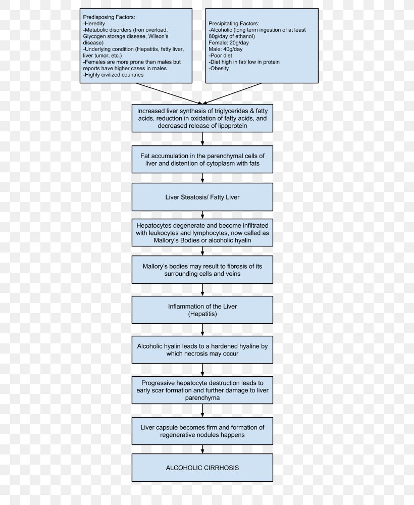 Cirrhosis Hepatic Encephalopathy Nursing Care Plan Liver, PNG, 528x1000px, Cirrhosis, Alcoholic Hepatitis, Alcoholism, Area, Diagram Download Free