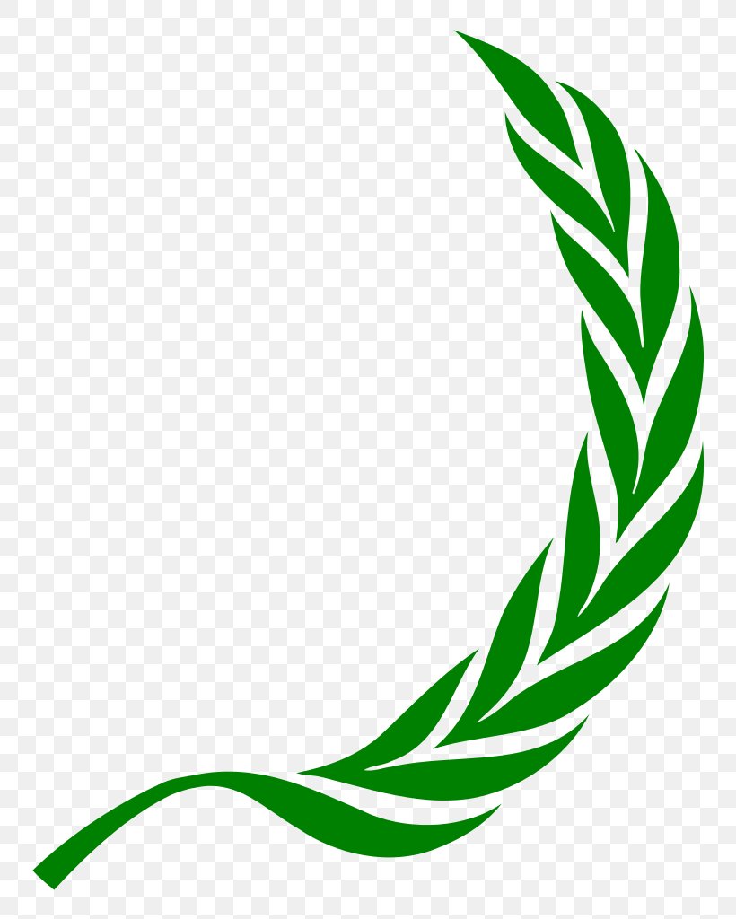 Laurel Wreath Bay Laurel Clip Art, PNG, 814x1024px, Laurel Wreath, Artwork, Bay Laurel, Cherry Laurel, Crown Download Free