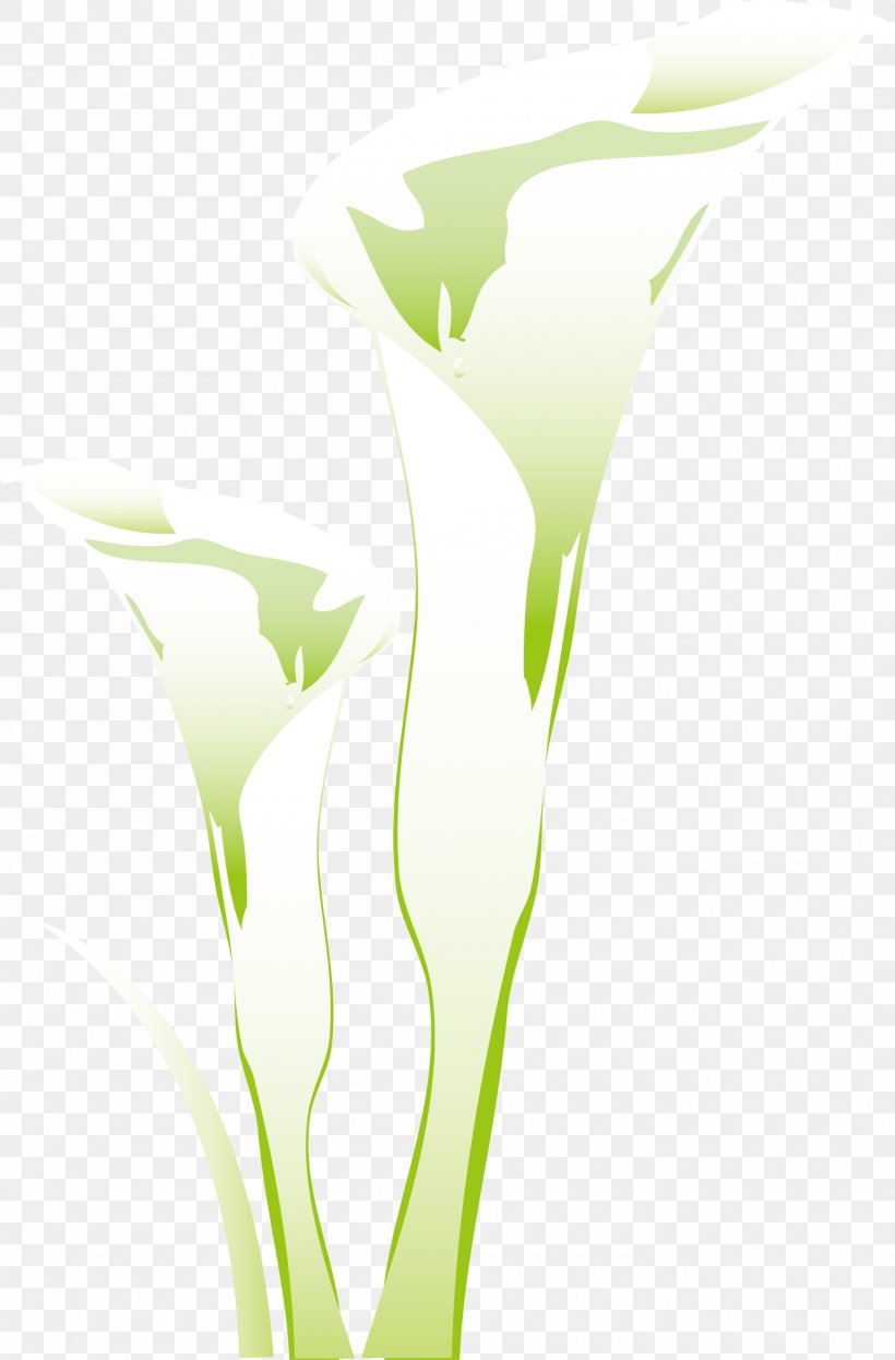 Petal Grasses Desktop Wallpaper Leaf, PNG, 2000x3040px, Petal, Computer, Family, Flora, Flower Download Free