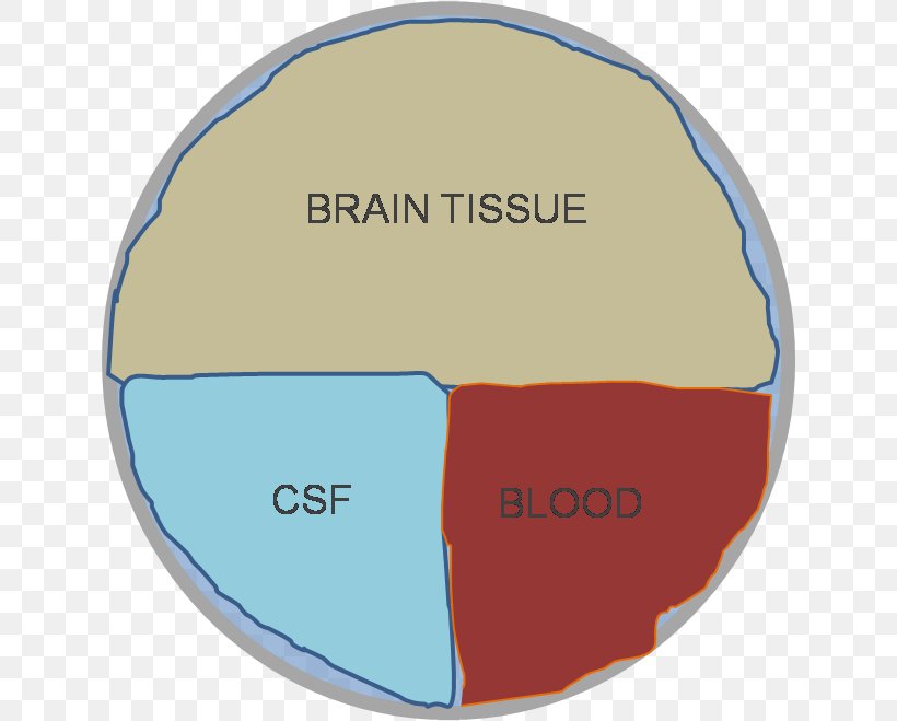 Doktryna Monro-Kelliego Cerebrospinal Fluid Blood Hypothesis Skull, PNG, 636x659px, Doktryna Monrokelliego, Area, Blood, Brain, Brand Download Free