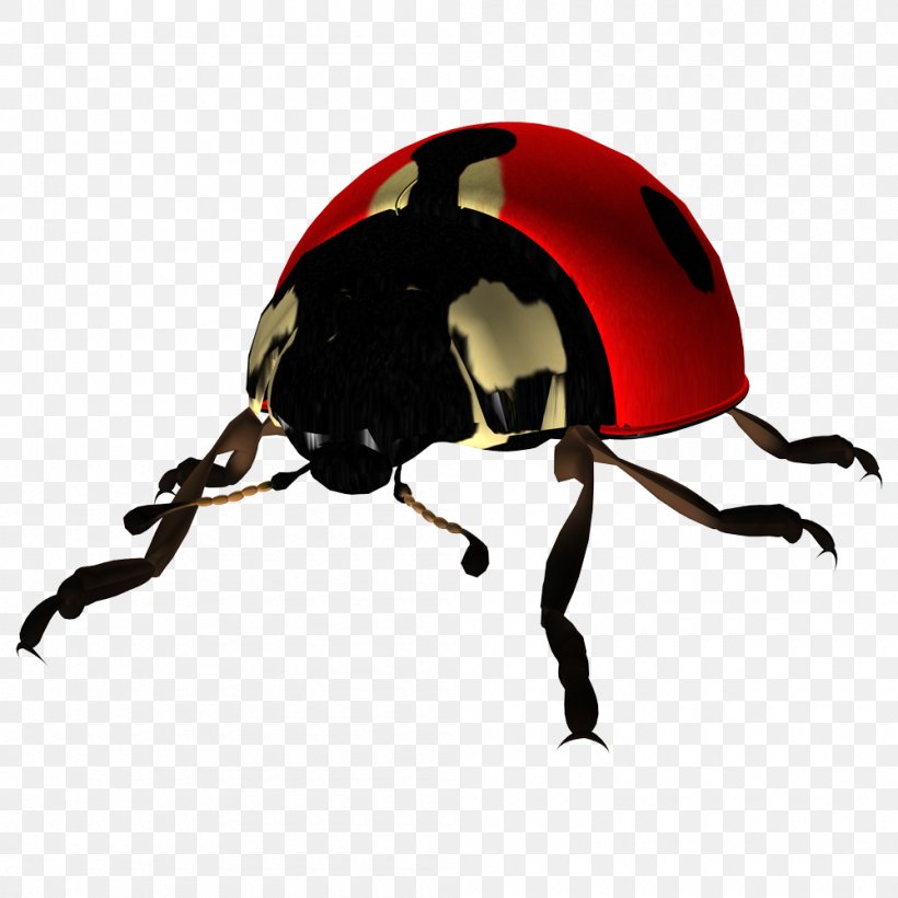 Ladybird Beetle, PNG, 1000x1000px, Beetle, Arthropod, Dots Per Inch, Gimp, Headgear Download Free