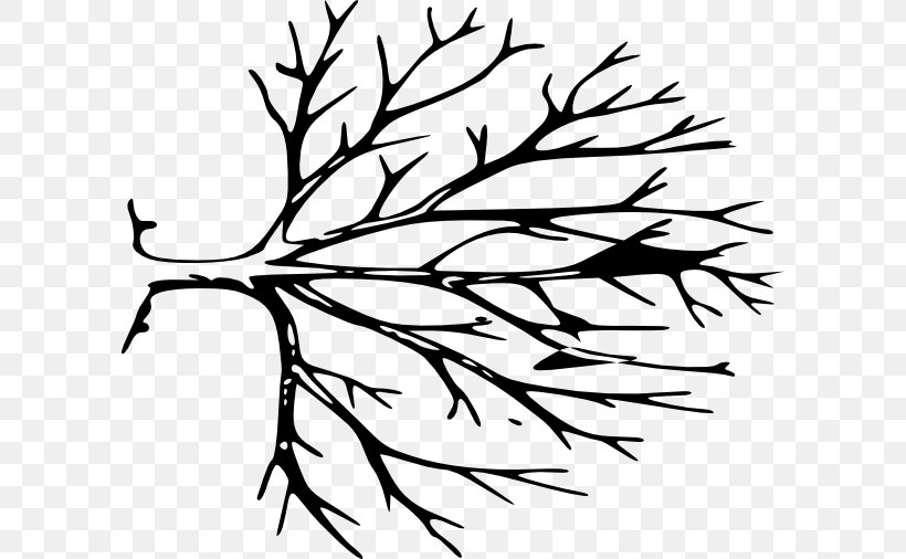 Tree Trunk Branch Clip Art, PNG, 600x506px, Tree, Artwork, Black, Black And White, Branch Download Free