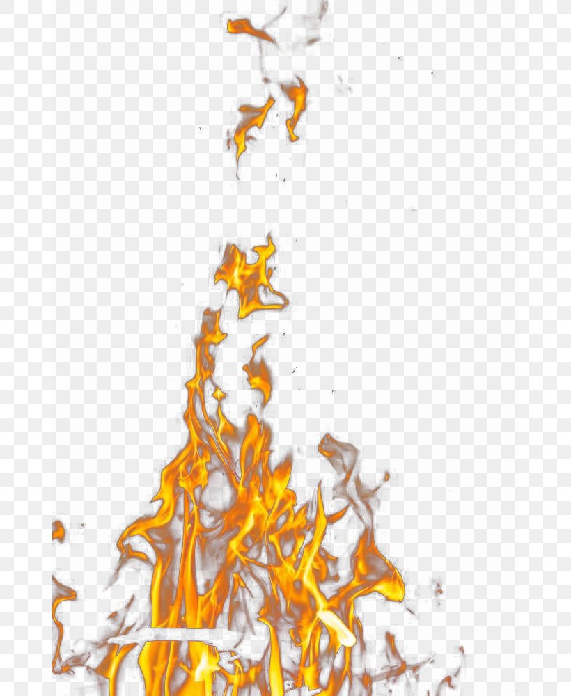 Wildfire Flame Illustration, PNG, 670x1000px, Wildfire, Art, Branch, Computer, Fire Download Free