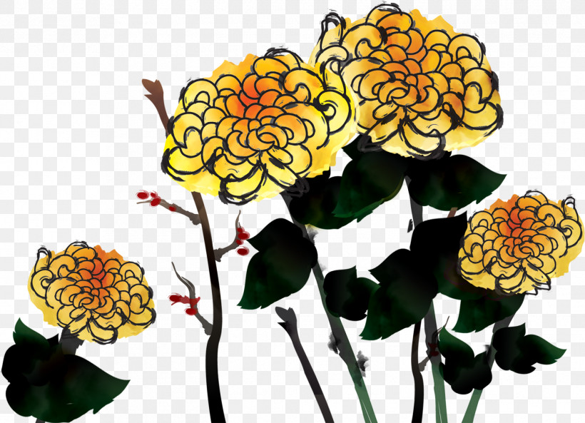 Chrysanthemum Chrysanths, PNG, 1422x1030px, Chrysanthemum, Biology, Chrysanths, Cut Flowers, Floral Design Download Free