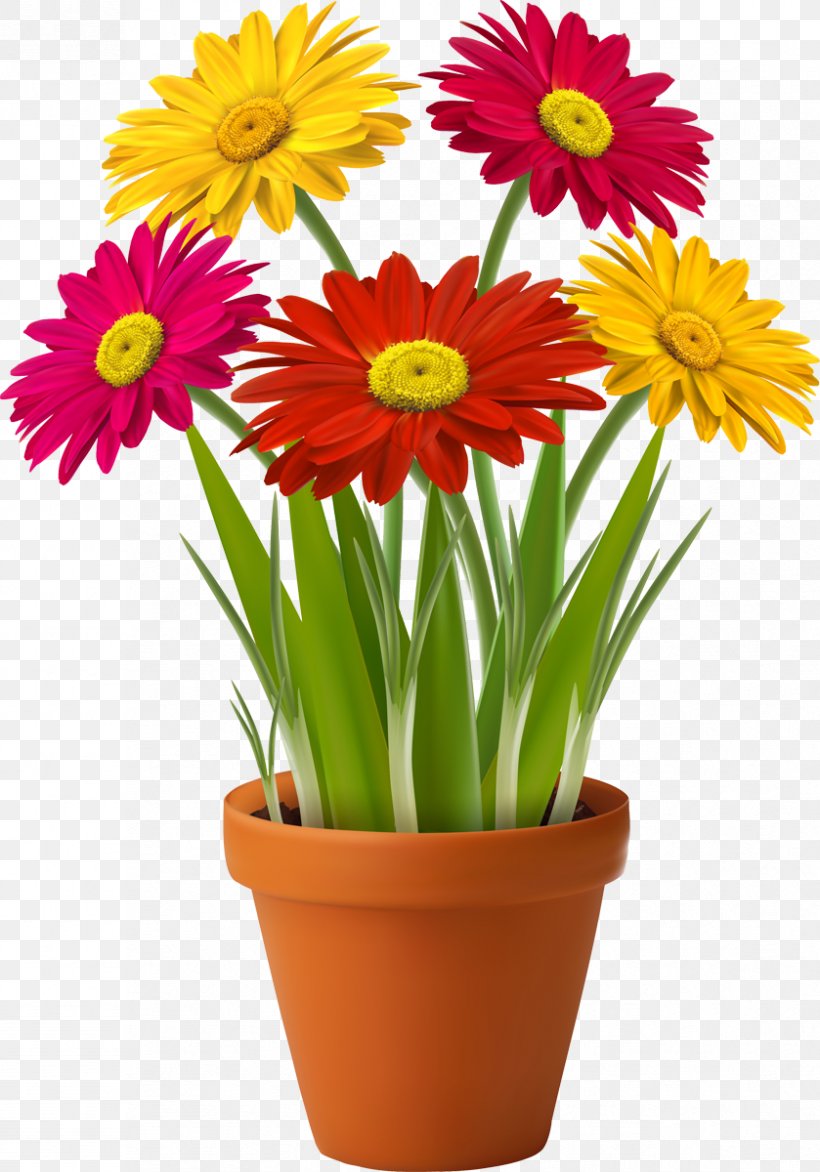 Flowerpot Houseplant Garden Clip Art, PNG, 839x1200px, Flowerpot, Annual Plant, Chrysanths, Cut Flowers, Daisy Family Download Free