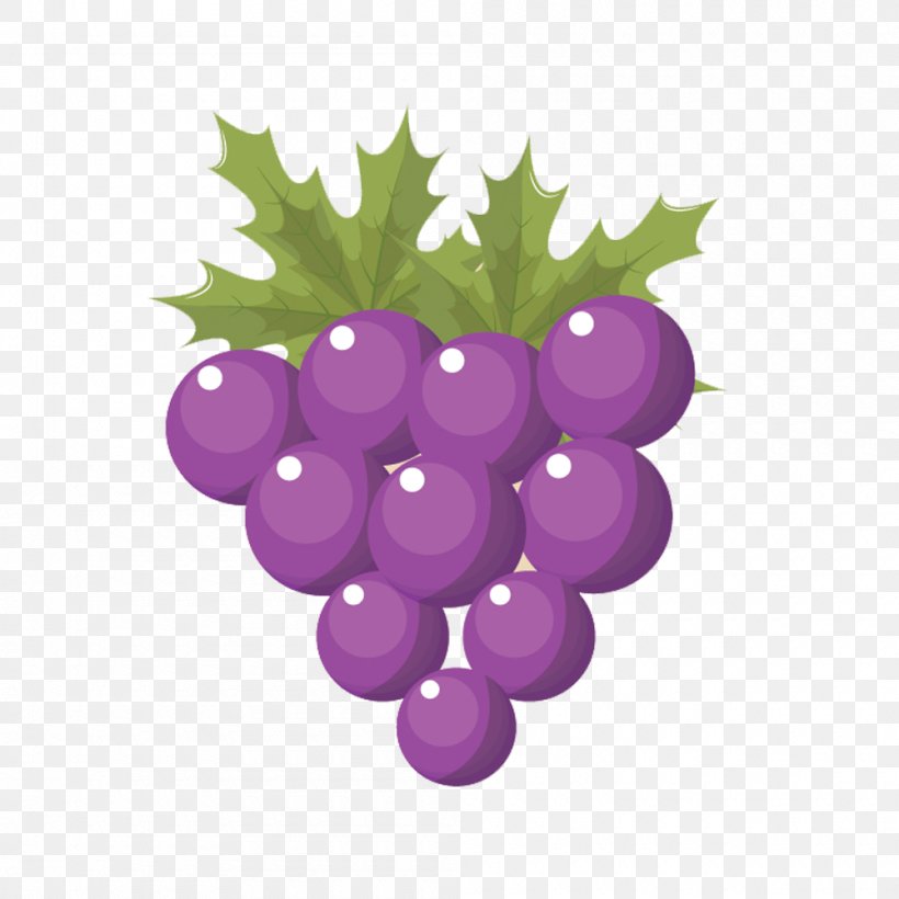 Grape Euclidean Vector, PNG, 1000x1000px, Grape, Flowering Plant, Food, Fruit, Grapevine Family Download Free