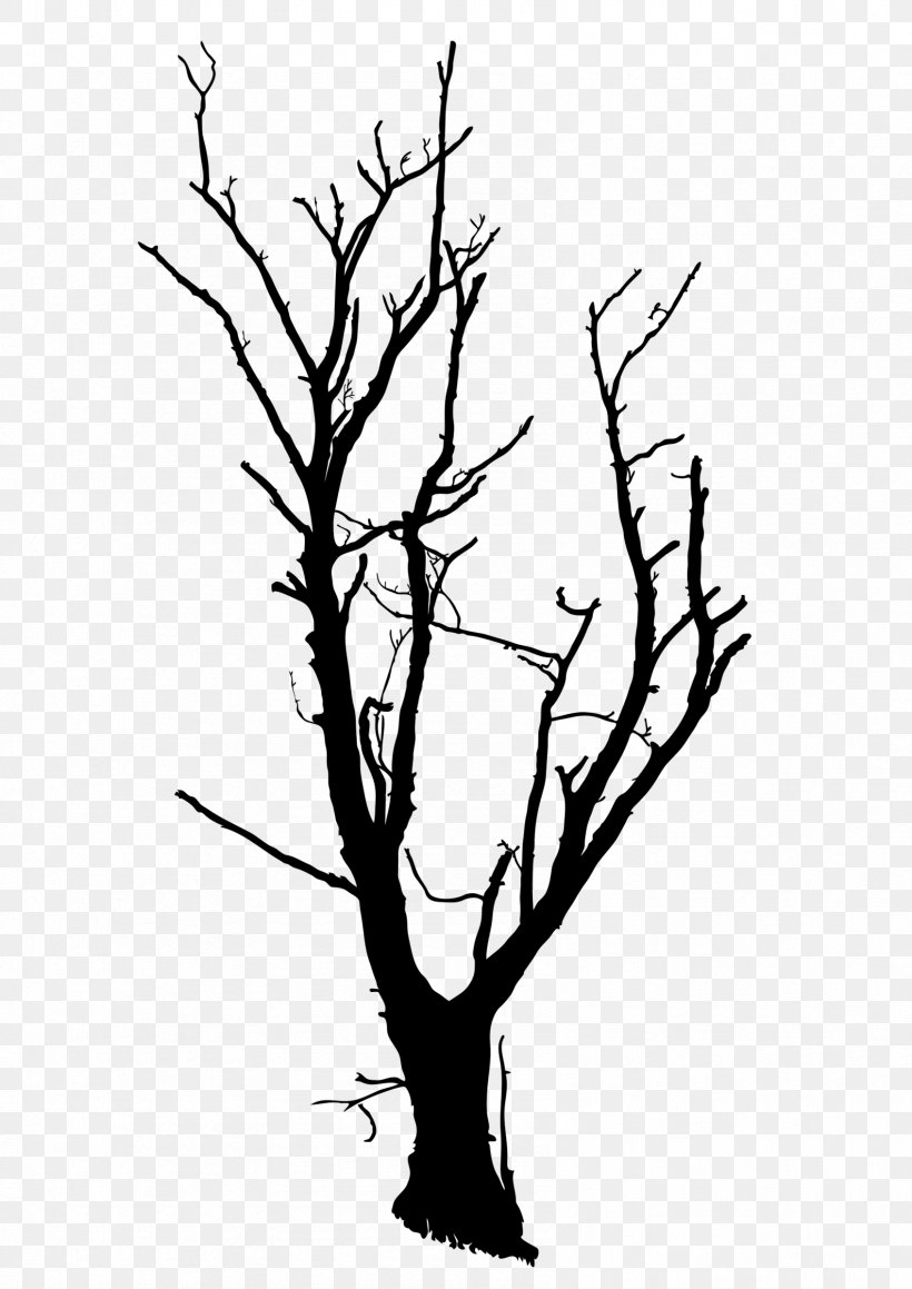 Twig Line Art Silhouette Plant Stem Clip Art, PNG, 1694x2396px, Twig, Artwork, Black And White, Branch, Flora Download Free