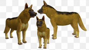 Sheperd - Dog Breed German Shepherd Snout Pack Animal PNG