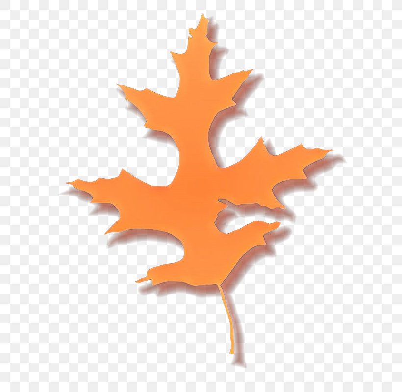 Maple Leaf, PNG, 706x800px, Cartoon, Black Maple, Leaf, Maple Leaf, Orange Download Free