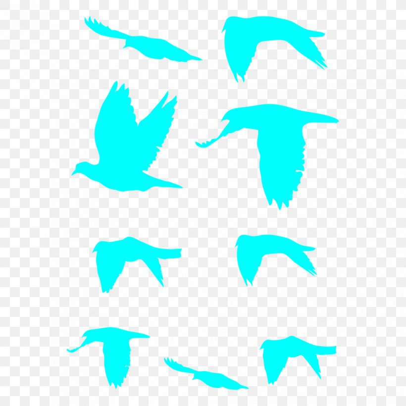 Bird Wall Decal Flock Sticker Clip Art, PNG, 1030x1030px, Bird, Aqua, Beak, Blue, Decoratie Download Free
