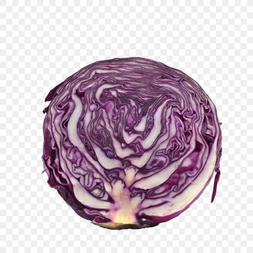 Red Cabbage Stock Photography Vegetable Purple, PNG, 1024x1024px, Red Cabbage, Brassica Oleracea, Cabbage, Color, Food Download Free