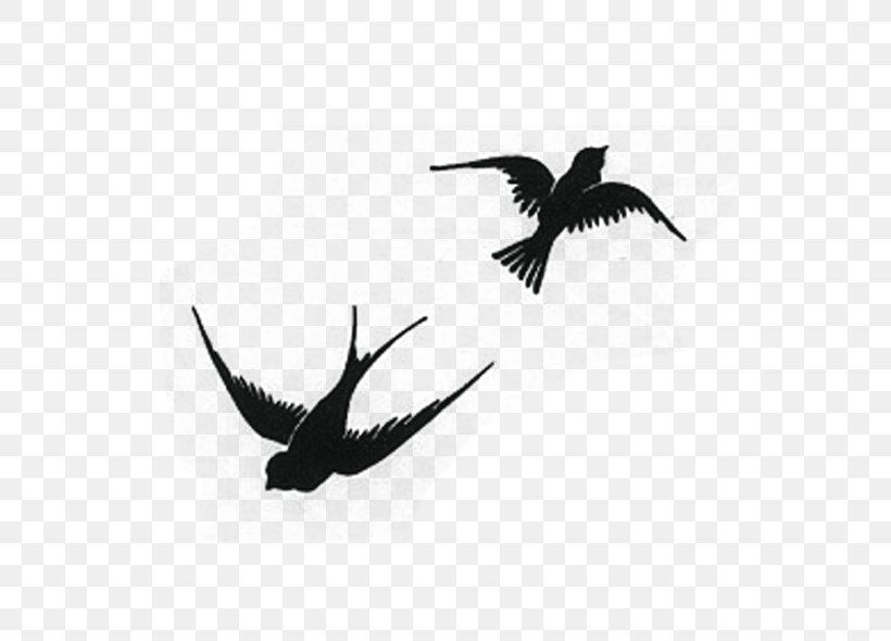 Swallow Bird Silhouette Image, PNG, 600x590px, Swallow, Beak, Bird, Black And White, Book Download Free