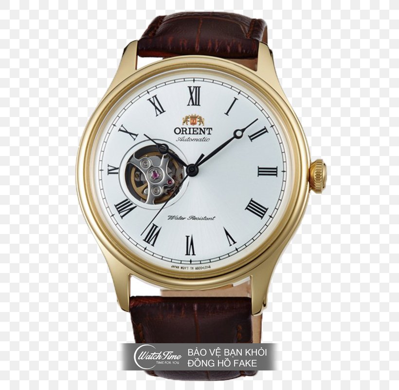 Amazon.com Orient Watch Automatic Watch Mechanical Watch, PNG, 560x800px, Amazoncom, Automatic Watch, Brand, Clock, Clothing Download Free