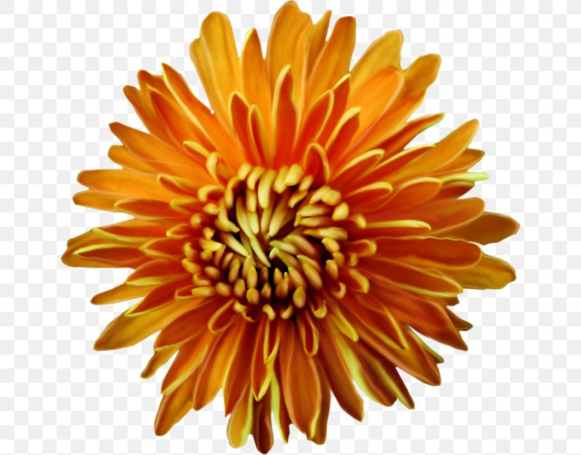 Cut Flowers Flower Bouquet Clip Art, PNG, 650x642px, Flower, Annual Plant, Chrysanthemum, Chrysanths, Cut Flowers Download Free