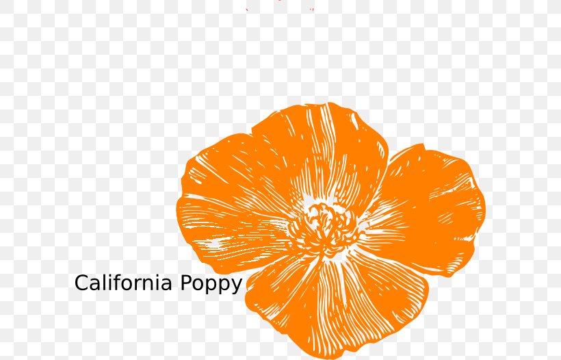 Remembrance Poppy California Poppy Clip Art, PNG, 600x526px, Poppy, Armistice Day, California Poppy, Color, Common Poppy Download Free