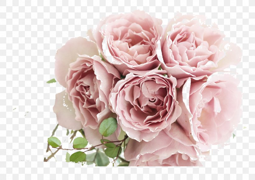 Rose High-definition Television 4K Resolution 1080p Wallpaper, PNG, 970x687px, 4k Resolution, Rose, Artificial Flower, Cut Flowers, Display Resolution Download Free