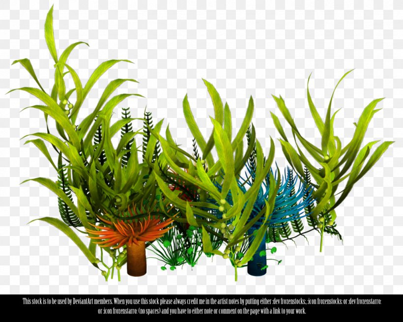Underwater Aquatic Plants Seaweed Clip Art, PNG, 1024x819px, Underwater, Aquarium Decor, Aquatic Plant, Aquatic Plants, Coral Download Free