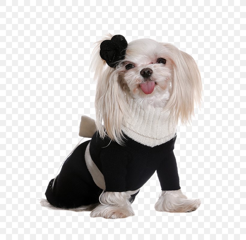 Dog Breed Puppy Clothing Dress, PNG, 600x800px, Dog Breed, Breed, Carnivoran, Clothing, Clothing Accessories Download Free