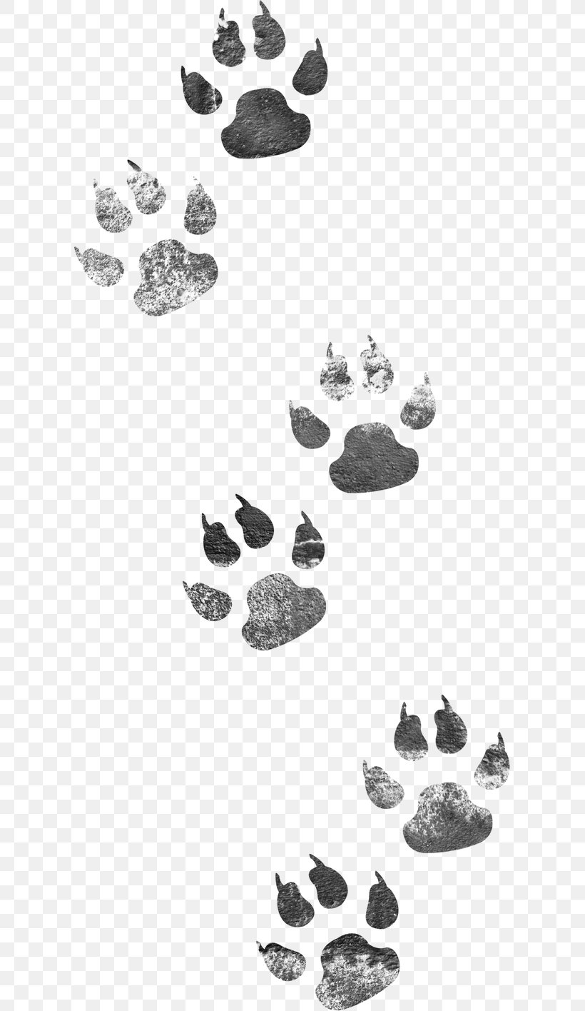 Dog Cat, PNG, 611x1416px, Dog, Animal, Black And White, Cartoon, Cat Download Free