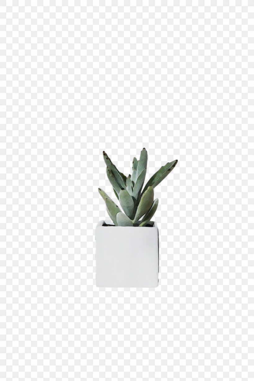 Plants Inav Dbx Msci Ac World Sf Flowerpot Agave Biology, PNG, 1200x1800px, Watercolor, Agave, Biology, Flowerpot, Inav Dbx Msci Ac World Sf Download Free
