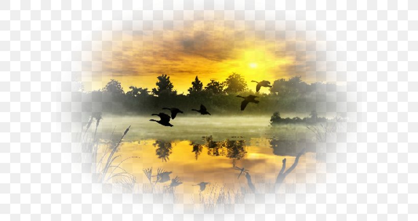 Animation Landscape Desktop Wallpaper, PNG, 600x434px, Animation, Blog, Drawing, Landscape, Mist Download Free