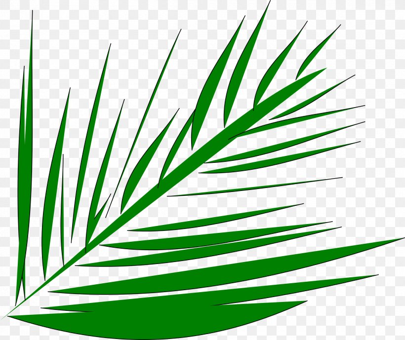 Palm-leaf Manuscript Arecaceae Palm Branch Clip Art, PNG, 2400x2019px, Palmleaf Manuscript, Arecaceae, Commodity, Flora, Grass Download Free