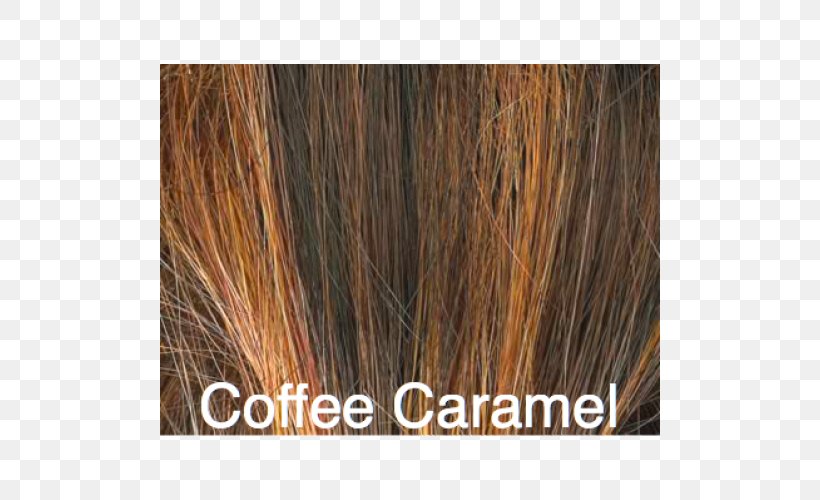 Brown Hair Long Hair Caramel Color Hair Coloring, PNG, 500x500px, Brown, Brown Hair, Caramel Color, Hair, Hair Coloring Download Free