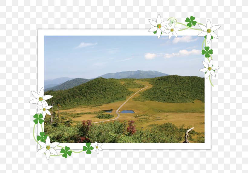 Ecosystem Land Lot Grassland Hill Station Energy, PNG, 649x571px, Ecosystem, Energy, Farm, Flower, Grass Download Free
