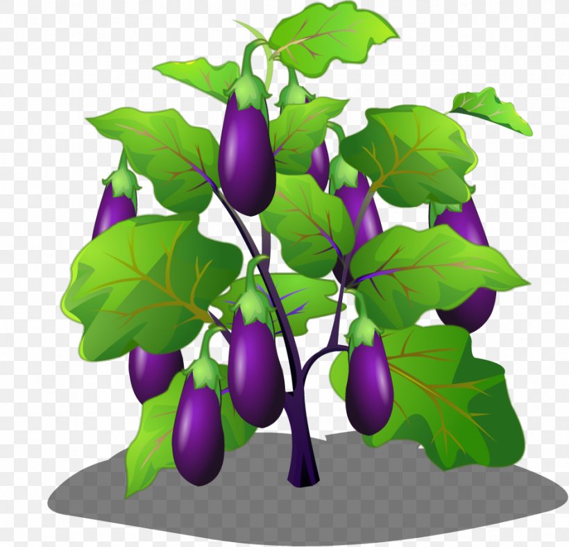 Eggplant Vegetable Cartoon, PNG, 938x902px, Eggplant, Art, Auglis, Branch, Cartoon Download Free