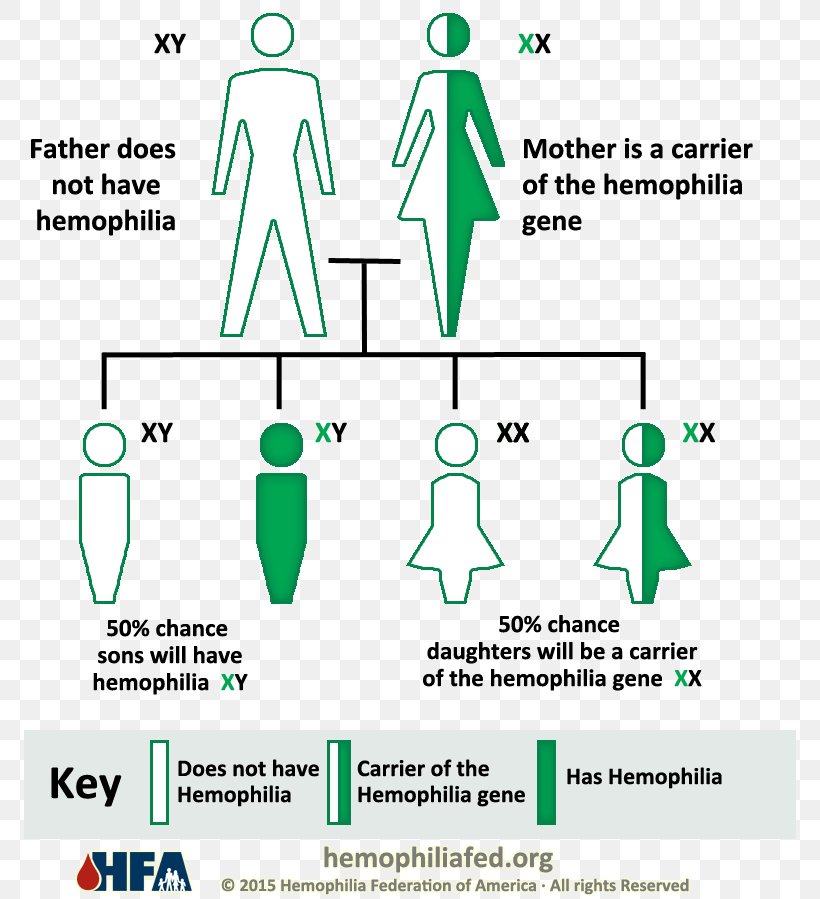Haemophilia A Genetic Disorder Haemophilia B Coagulopathy, PNG, 790x899px, Haemophilia, Area, Blood, Brand, Coagulation Download Free