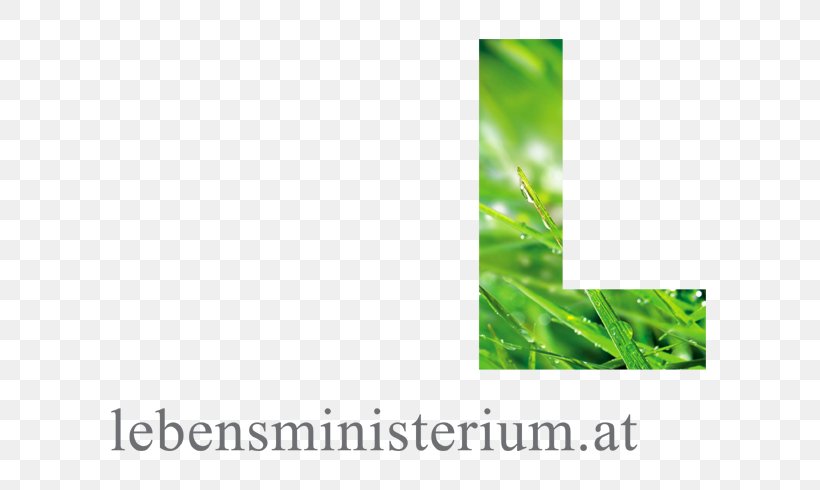 States Of Germany Ministry Of Sustainability And Tourism Bundesministerium, PNG, 709x490px, States Of Germany, Austria, Brand, Bundesminister, Bundesministerium Download Free