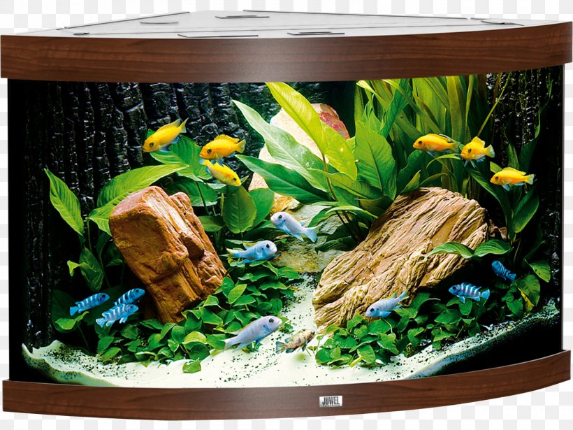Aquarium Filters Goldfish Juwel Heater, PNG, 1600x1200px, Aquarium, Aquarium Decor, Aquarium Filters, Aquarium Lighting, Aquatic Plant Download Free