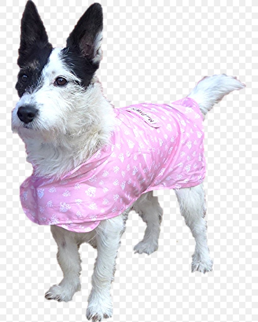 Dog Breed Raincoat Pet, PNG, 747x1024px, Dog, Breed, Carnivoran, Clothing, Clothing Accessories Download Free
