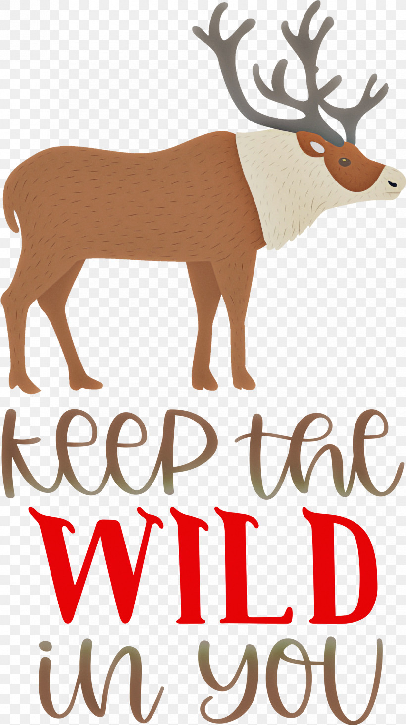 Keep Wild Deer, PNG, 1682x3000px, Keep Wild, Antler, Biology, Deer, Meter Download Free