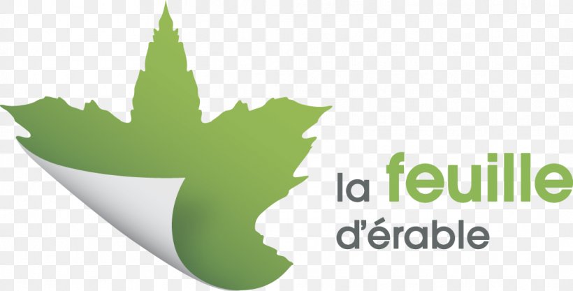 Maple Leaf Paper La Feuille D'Erable, PNG, 1064x542px, Leaf, Brand, Cardboard, Grass, Green Download Free