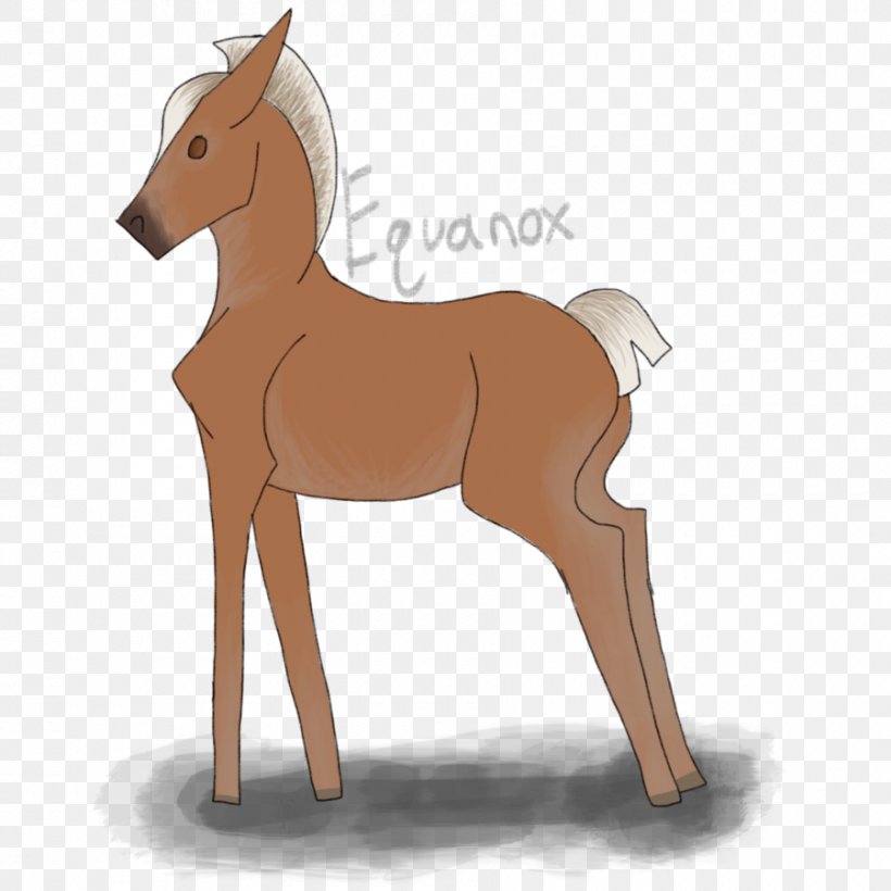 Mule Foal Stallion Colt Mare, PNG, 900x900px, Mule, Bridle, Cartoon, Colt, Deer Download Free