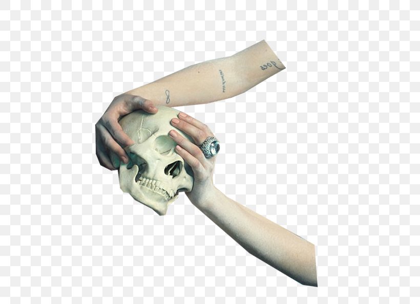 Skull Skeleton Euclidean Vector, PNG, 726x594px, Skull, Designer, Fossil, Gratis, Hand Download Free