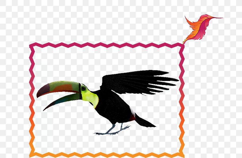 Toucan Beak Feather Clip Art, PNG, 704x535px, Toucan, Artwork, Beak, Bird, Fauna Download Free