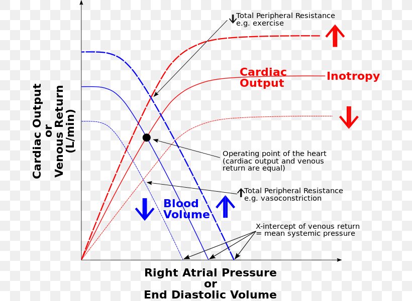 Venous Return Curve Heart Failure Cardiac Output Preload, PNG, 693x600px, Venous Return Curve, Afterload, Area, Blood, Blood Pressure Download Free