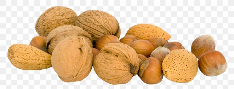 Walnut Icon, PNG, 1118x427px, Walnut, Acorn, Almond, Brazil Nut, Cashew Download Free
