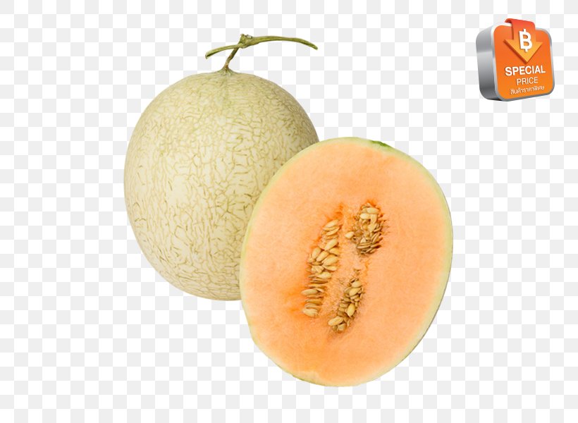 Cantaloupe Honeydew Galia Melon Fruit, PNG, 800x600px, Cantaloupe, Cucumber Gourd And Melon Family, Food, Fruit, Galia Download Free