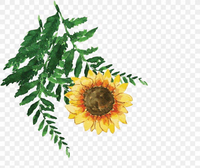 Common Sunflower Euclidean Vector, PNG, 976x822px, Common Sunflower, Daisy Family, Floral Design, Flower, Flowering Plant Download Free