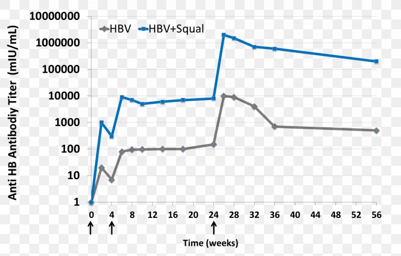 Freund's Adjuvant Squalene Vaccine Antibody, PNG, 1281x821px, Adjuvant, Antibody, Area, Dermis, Diagram Download Free