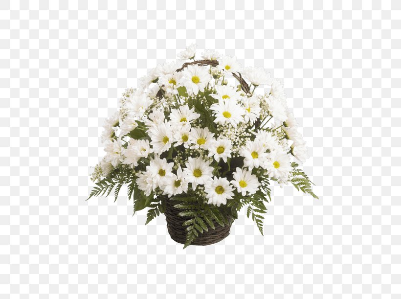 Marguerite Daisy Floral Design Chrysanthemum Cut Flowers Transvaal Daisy, PNG, 500x611px, Marguerite Daisy, Argyranthemum, Aster, Chrysanthemum, Chrysanths Download Free