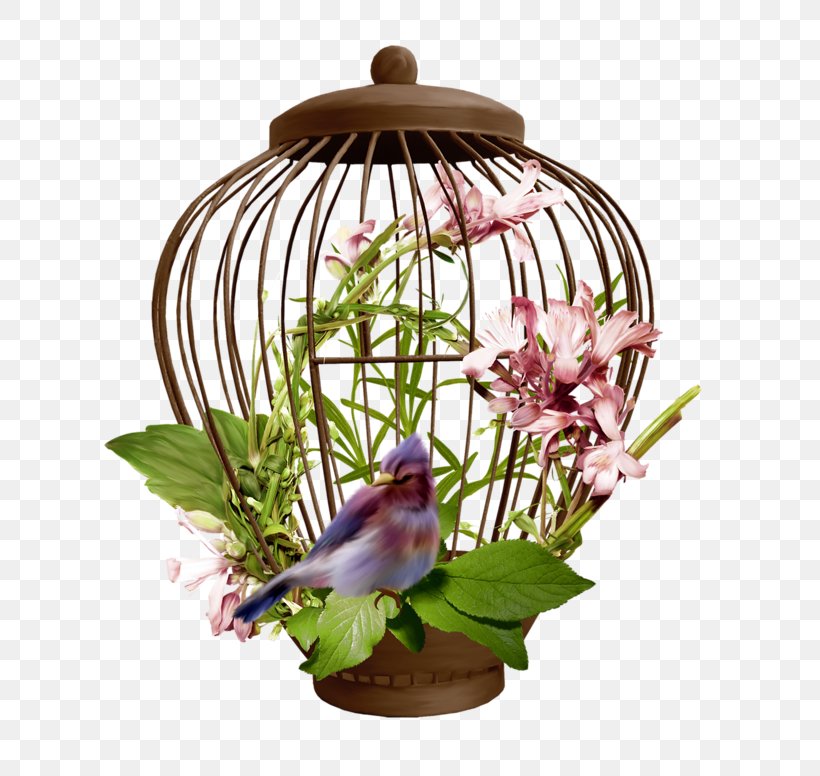 Birdcage Centerblog, PNG, 800x776px, Cage, Area, Bird, Birdcage, Blog Download Free