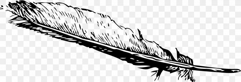 Eagle Feather Law Clip Art, PNG, 2400x822px, Feather, Art, Artwork, Beak, Bird Download Free