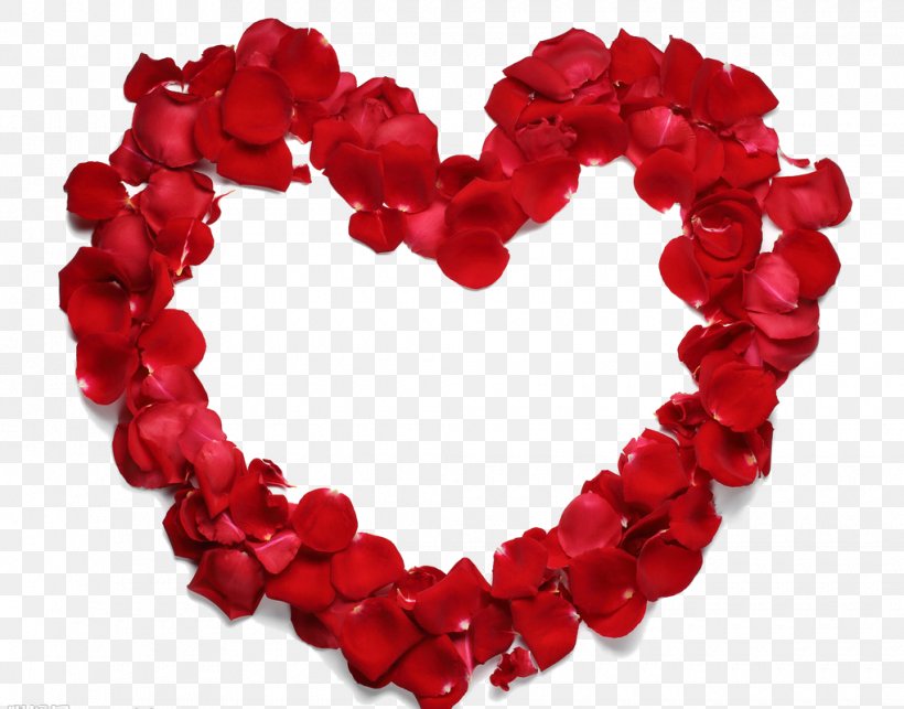 Heart Beach Rose Petal Flower, PNG, 1020x800px, Heart, Beach Rose, Flower, Love, Petal Download Free