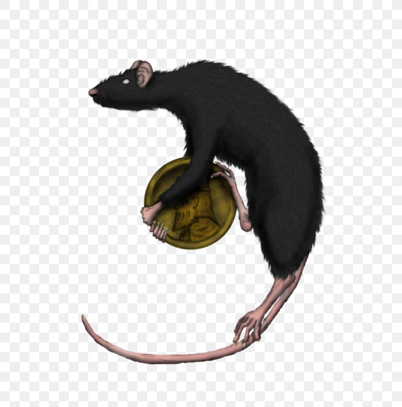 Symbol Brown Rat Mouse Rodent, PNG, 1024x1040px, Symbol, Animal, Brown Rat, Carnivoran, Concept Download Free
