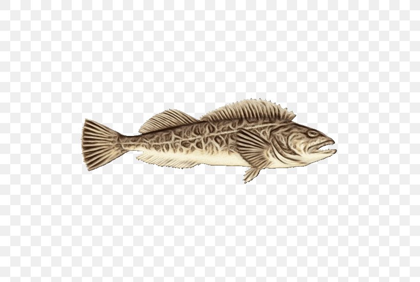 Fish Fish Bass Striper Bass Northern Largemouth Bass, PNG, 550x550px, Watercolor, Bass, Fish, Northern Largemouth Bass, Paint Download Free