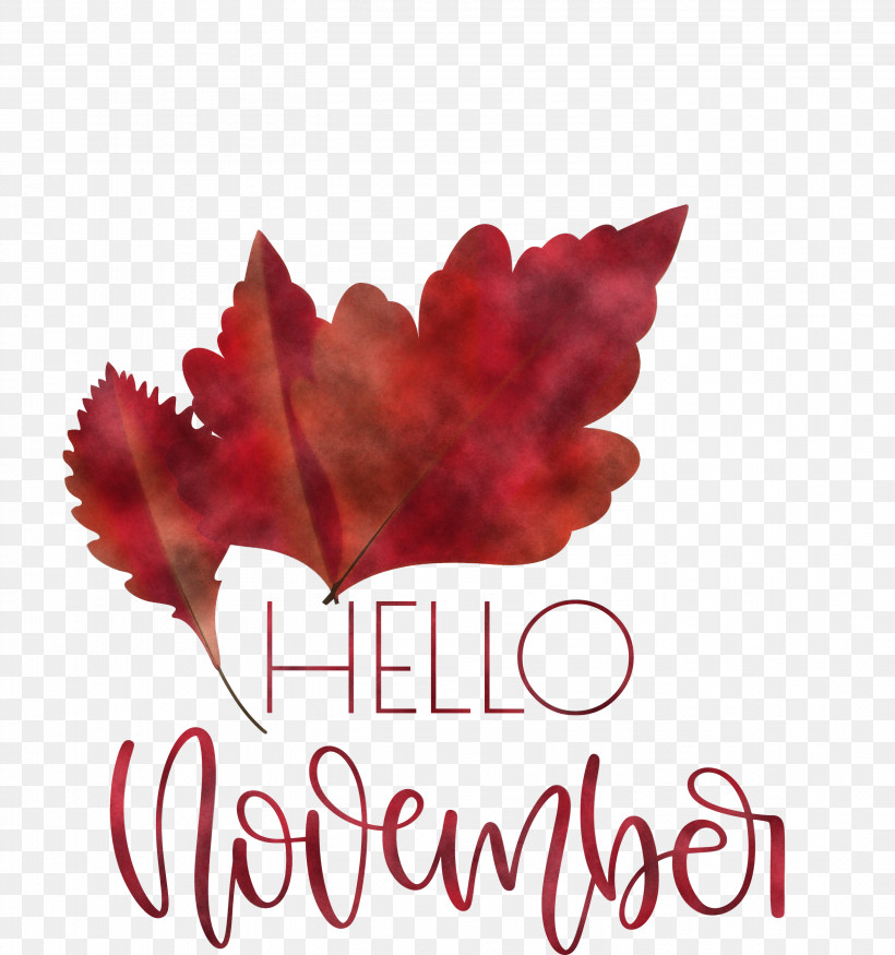 Hello November November, PNG, 2811x3000px, Hello November, Biology, Leaf, Maple Leaf M, Meter Download Free
